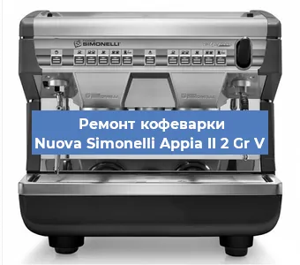 Ремонт кофемашины Nuova Simonelli Appia II 2 Gr V в Красноярске